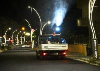 Giresun Belediyesi, kent genelinde ilaçlama çalışmalarını yoğunlaştırdı