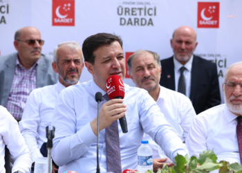 Mahmut Arıkan: “2025 yılı için fındık taban fiyatı en az 300 TL olmalı”