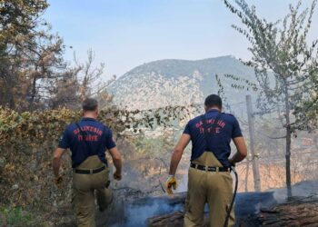 Balıkesir İtfaiyesi ve Can Dost ekibinden Bursa’ya destek