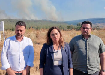 Tekirdağ Büyükşehir Belediye Başkanı Yüceer’den Şarköy’deki orman yangını için çağrı