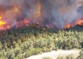 İletişim Başkanlığı: Yurt genelinde çıkan 761 yangının tamamı kontrol altına alındı