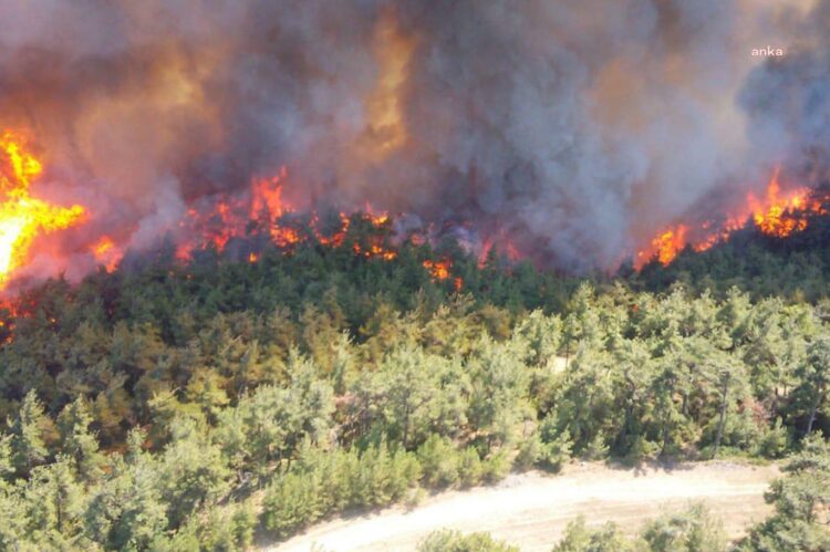 İletişim Başkanlığı: Yurt genelinde çıkan 761 yangının tamamı kontrol altına alındı