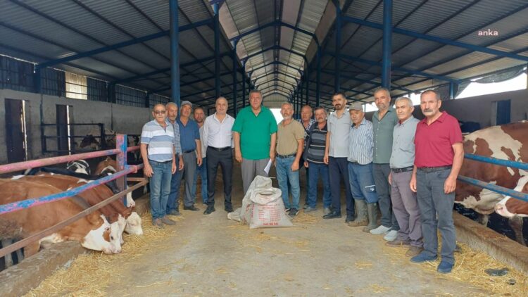 CHP’li Gürer: “Kendi kendine yeten ülke, yurt dışından hayvan getiriyor”