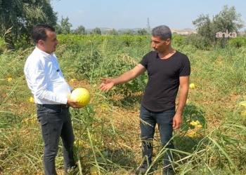CHP’li Başevirgen çiftçileri ziyaret etti: “Ben üretiyorum ama aracılar para kazanıyor”