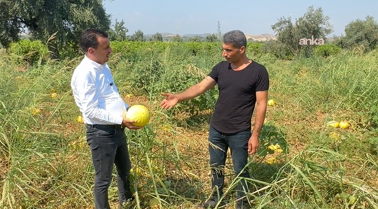 CHP’li Başevirgen çiftçileri ziyaret etti: “Ben üretiyorum ama aracılar para kazanıyor”