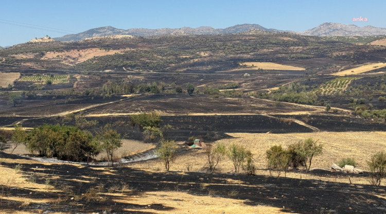 Diyarbakır’daki orman yangınında 230 hektarlık alan zarar gördü