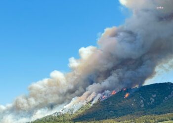 Manisa’nın Soma ilçesinde orman yangını