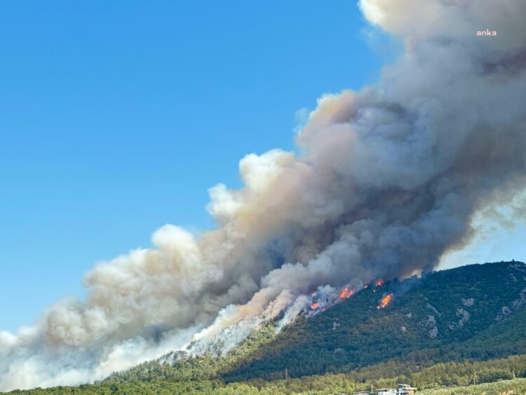 Manisa’nın Soma ilçesinde orman yangını