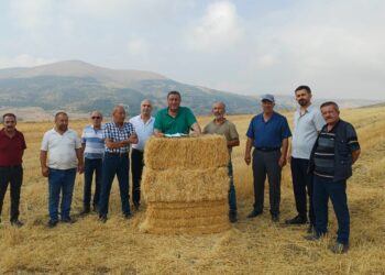 CHP’li Gürer: “Son iki yıl içinde çiftçinin buğday ve arpada yüzde 47 kaybı var”