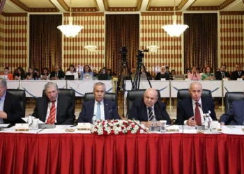 Bülent Arınç, Öcalan için  ‘Umut Hakkı’ İstedi
