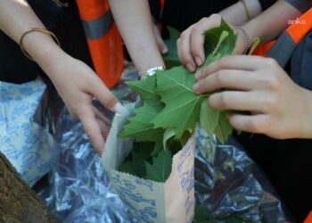 İstanbul Ağaç ve Peyzaj A.Ş. ile güller bilimle açıyor