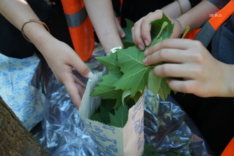 İstanbul Ağaç ve Peyzaj A.Ş. ile güller bilimle açıyor
