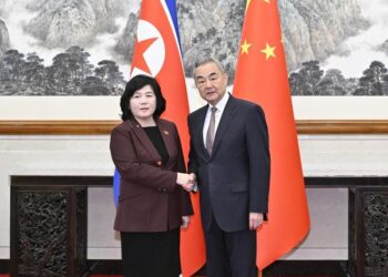 Çin Dışişleri Bakanı Wang, Kuzey Koreli mevkidaşı ile görüştü