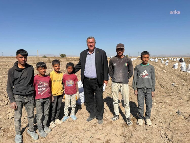 CHP’li Gürer: Tarımda çalışan çocukların eğitim ve sosyal haklarına erişimi sağlanmalı