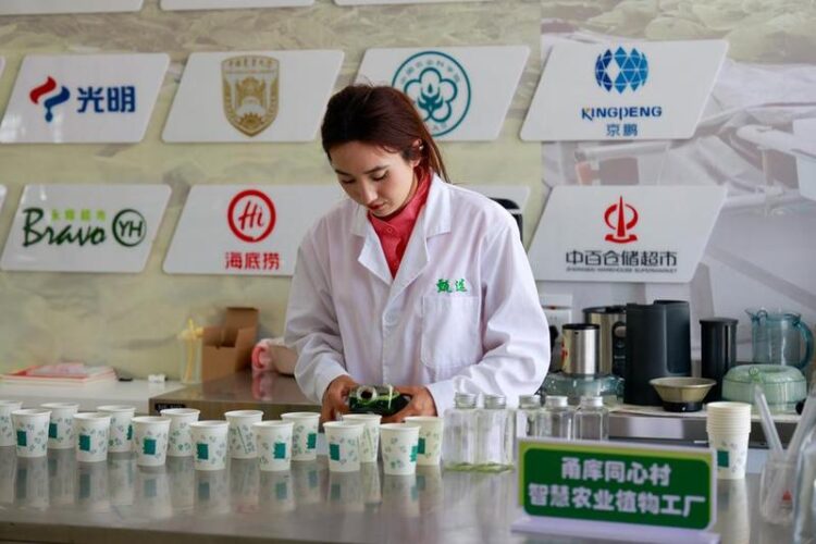 Çin’in Xinjiang bölgesi 2025’in ilk dokuz ayında 119 milyar dolar değerinde yatırım aldı