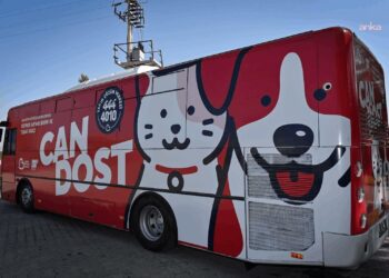 Balıkesir Büyükşehir Belediyesi’nin hayvan bakım aracı “Can Dost” yola çıktı