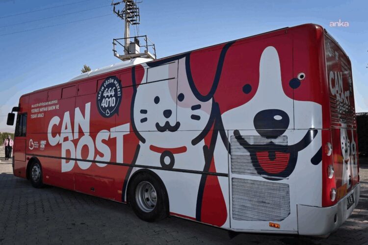 Balıkesir Büyükşehir Belediyesi’nin hayvan bakım aracı “Can Dost” yola çıktı