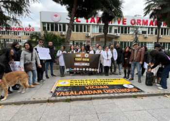 Veterinerlerden “İlaç Takip Sistemi”ne tepki