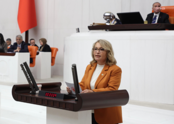 CHP’li Yanıkömeroğlu, organize suç örgütlerinin araştırılmasına ilişkin önerge verdi