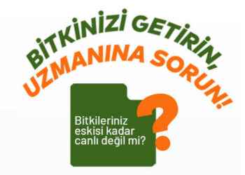 Hasta bitkilere Bahçe Market’te doktor muayenesi