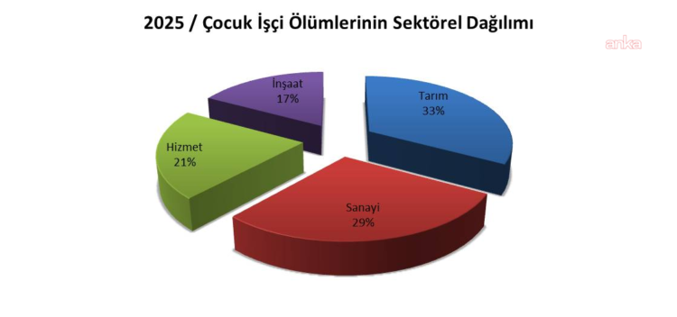 İSİG Meclisi: 2025 yılında en az 94 çocuk işçi hayatını kaybetti