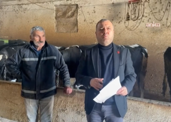 CHP’li Aygun’dan “2026 Yılı Besilik Sığır İthalatı Sözleşmesi”ne tepki