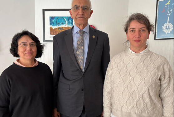 CHP Milletvekili Kılınç: Kuşatmaya karşı Küba halkıyla dayanışmaya devam edeceğiz