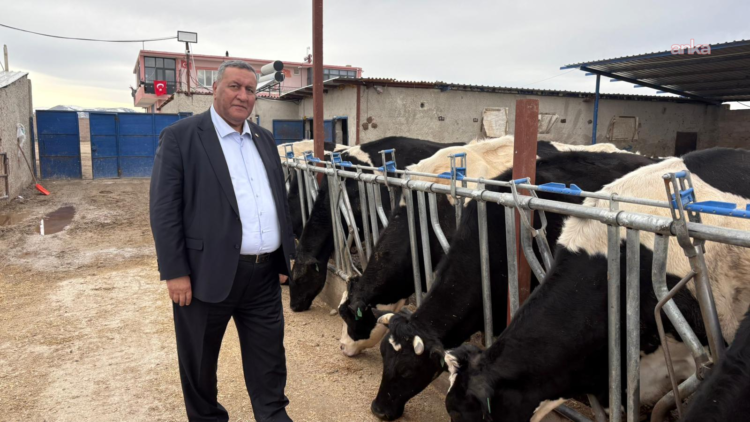 CHP’li Gürer: Süt üreticisi ayakta kalma mücadelesi veriyor