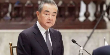 Çin: BM olmazsa orman kanunları devreye girer