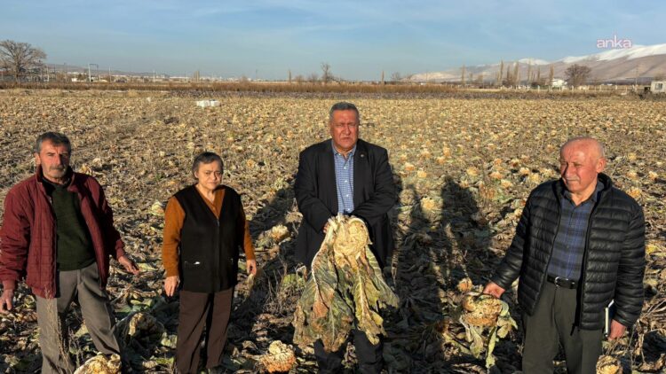 CHP’li Gürer: “Türkiye’nin israf seferberliği başlatması lazım”