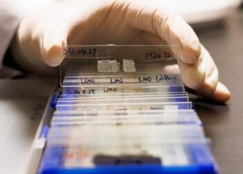 Rapor: Çin’de yayımlanan bilimsel dergilerin küresel etkisi arttı