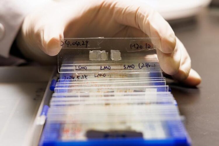 Rapor: Çin’de yayımlanan bilimsel dergilerin küresel etkisi arttı