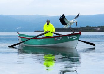 Yaren leylek 15. kez Adem Amca’nın kayığına kondu