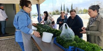Adıyaman Belediyesi’nde yeni üretilen bahar sebzeleri satışta