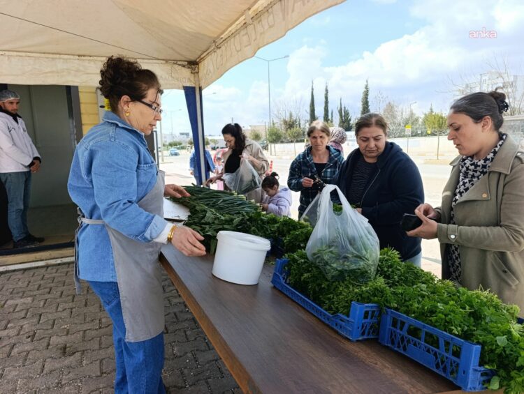 Adıyaman Belediyesi’nde yeni üretilen bahar sebzeleri satışta