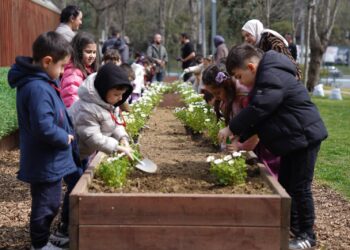 Beyoğlu’nda geleceğe nefes: Baruthane Yaşam Vadisi’nde fidanlar toprakla buluştu