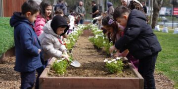 Beyoğlu’nda geleceğe nefes: Baruthane Yaşam Vadisi’nde fidanlar toprakla buluştu