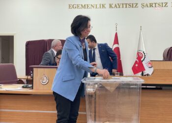 Uşak Belediye Başkan Vekilliğine Özlem Terekeci Özkan seçildi…