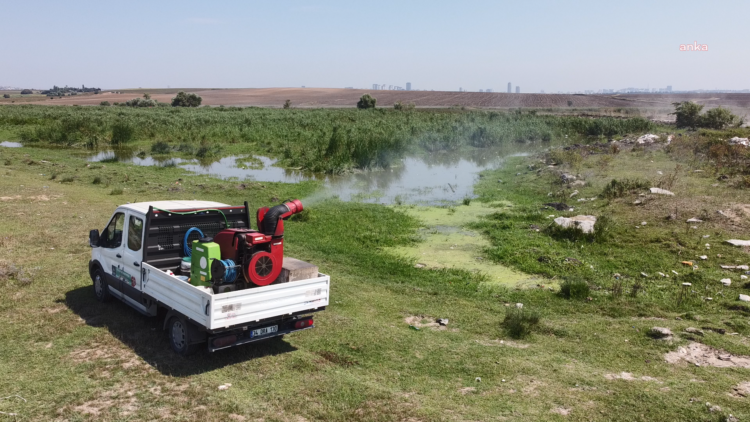 İstanbul Valiliği’nden karasinek, sivrisinek, kene genelgesi