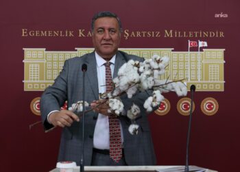 CHP’li Gürer: “Pamuk üreticisi zor durumda”