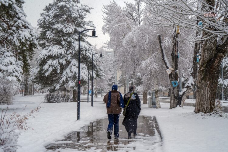 Yoğun kar yağışı Erzurum’u beyaza bürüdü