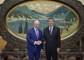 Çin Başbakan Yardımcısı: Çin’in devasa pazarı dünyaya daha fazla fırsat ve seçenek sunacak