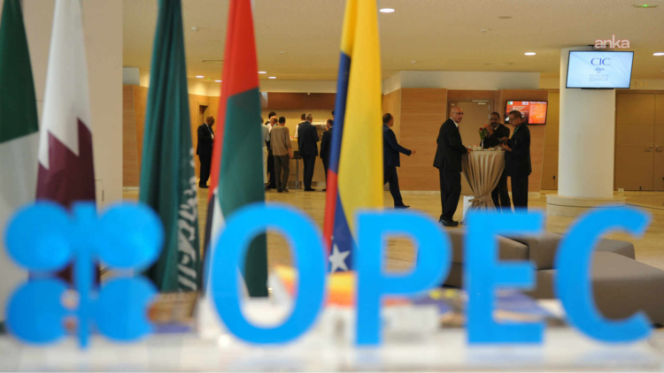 BAE, OPEC ve OPEC+’tan ayrıldığını açıkladı