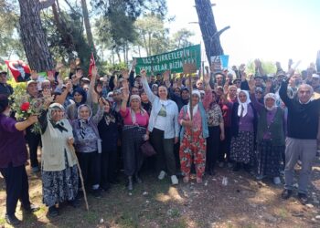 Akbelen Ormanı çevresindeki acele kamulaştırma kararının yürütmesi durduruldu