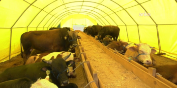 Gıda Mühendisleri Odası’ndan bayram öncesi “denetim” çağrısı