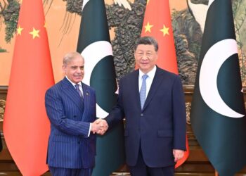 Çin Cumhurbaşkanı Xi, Pakistan Başbakanı Şerif ile görüştü