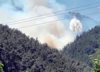 Soma’daki orman yangını kontrol altına alındı