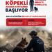 Bakırköy’de köpekli arama kurtarma gönüllüleri aranıyor