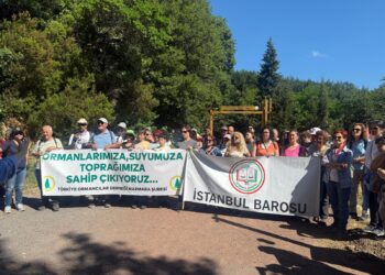 Hukukçular ve ormancılar İstanbul’un akciğerleri için buluştu