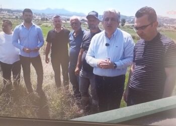Çeltik üreticisinden fiyat ve maliyet isyanı